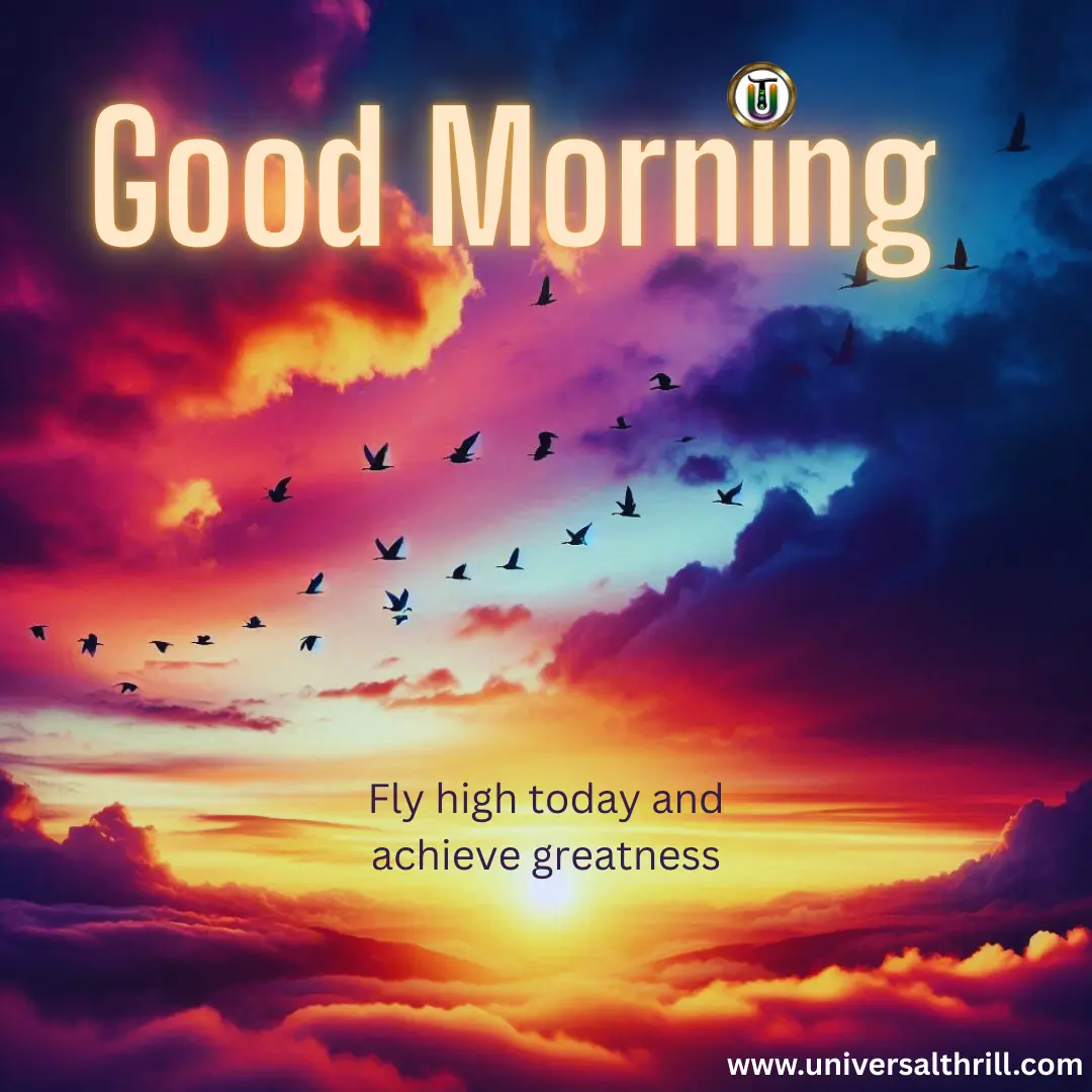 Birds Flying in a Colorful Sky | Universal Thrill | freedom